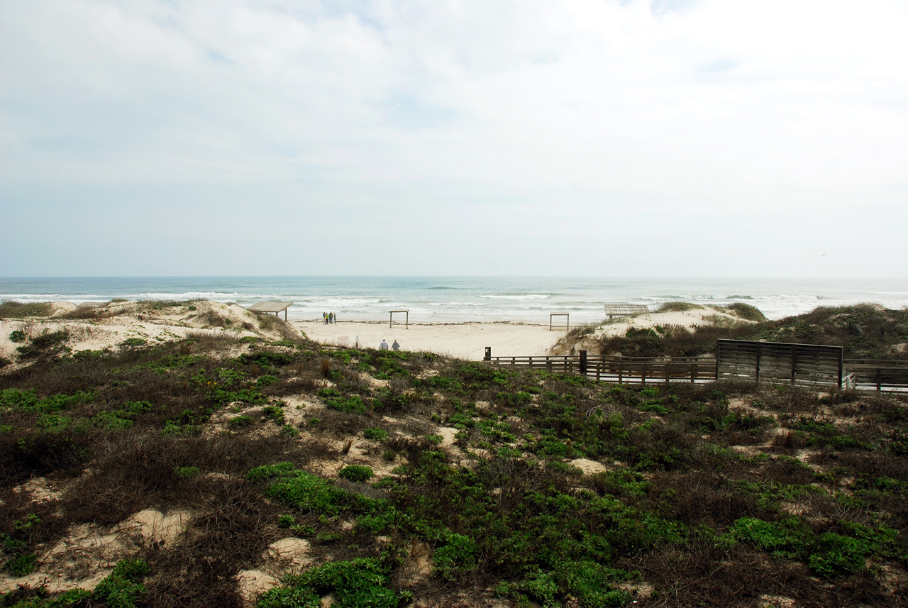 2012-02-14, 002, Padre Island