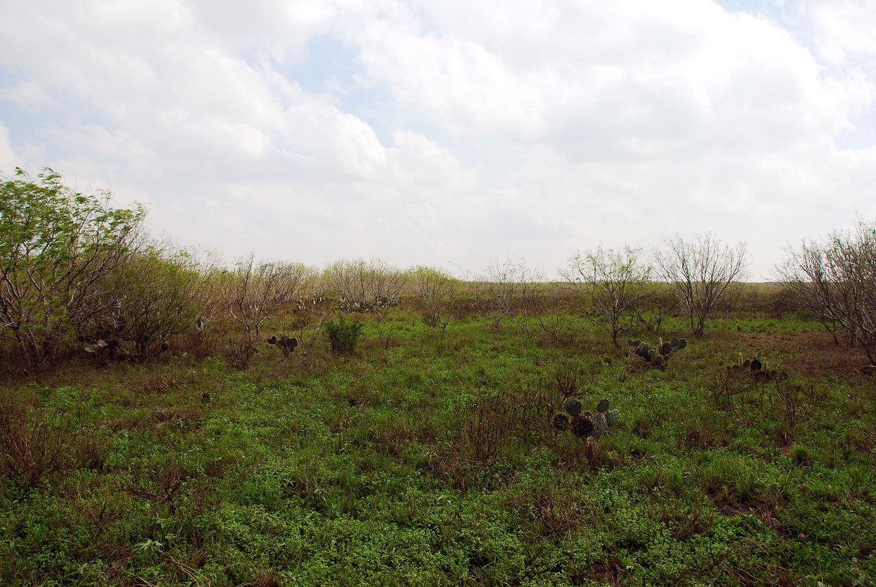 2012-02-28, 019, Palo Alto Battlefield, TX