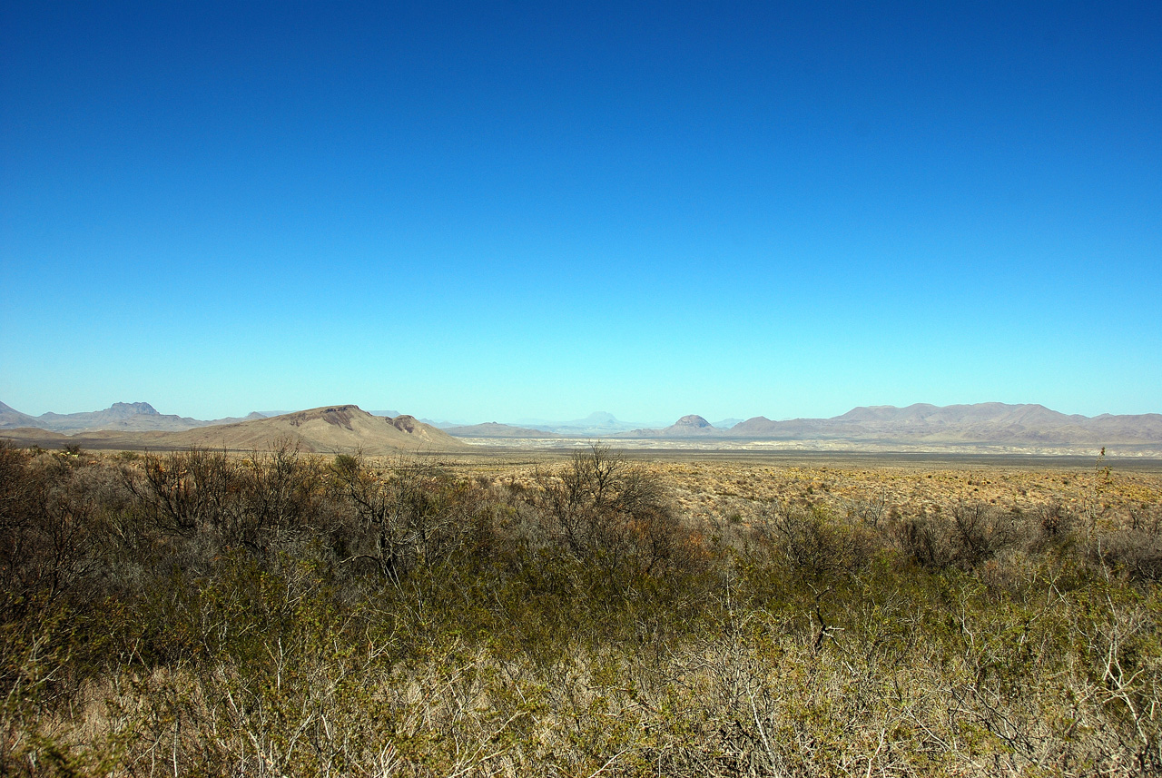 2012-03-11, 003, Grapevine Hills Rd