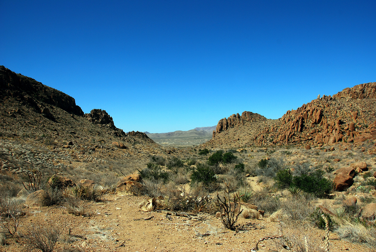 2012-03-11, 007, Grapevine Hills Rd