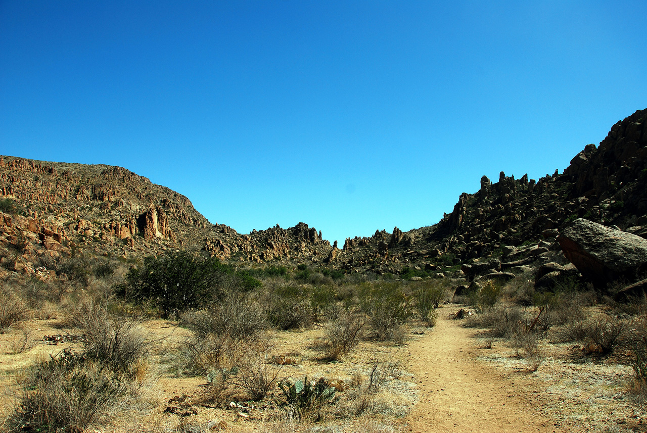 2012-03-11, 008, Grapevine Hills Rd