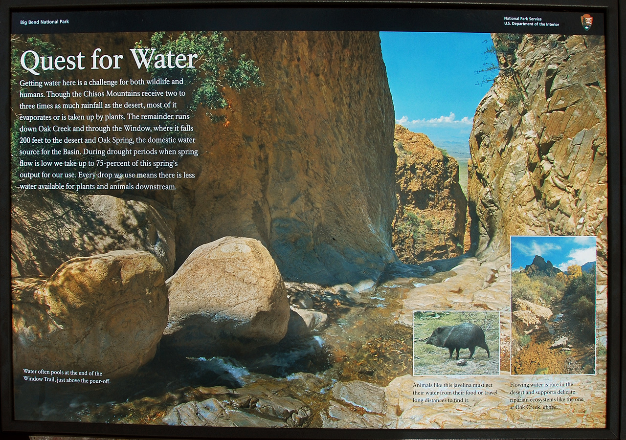 2012-03-14, 011, Chisos Basli