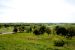 2012-04-12, 061, Monks Mound, W view