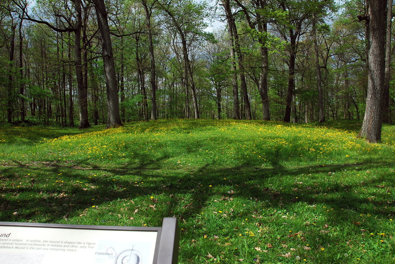 2012-04-16, 007, Fiddleback Mound
