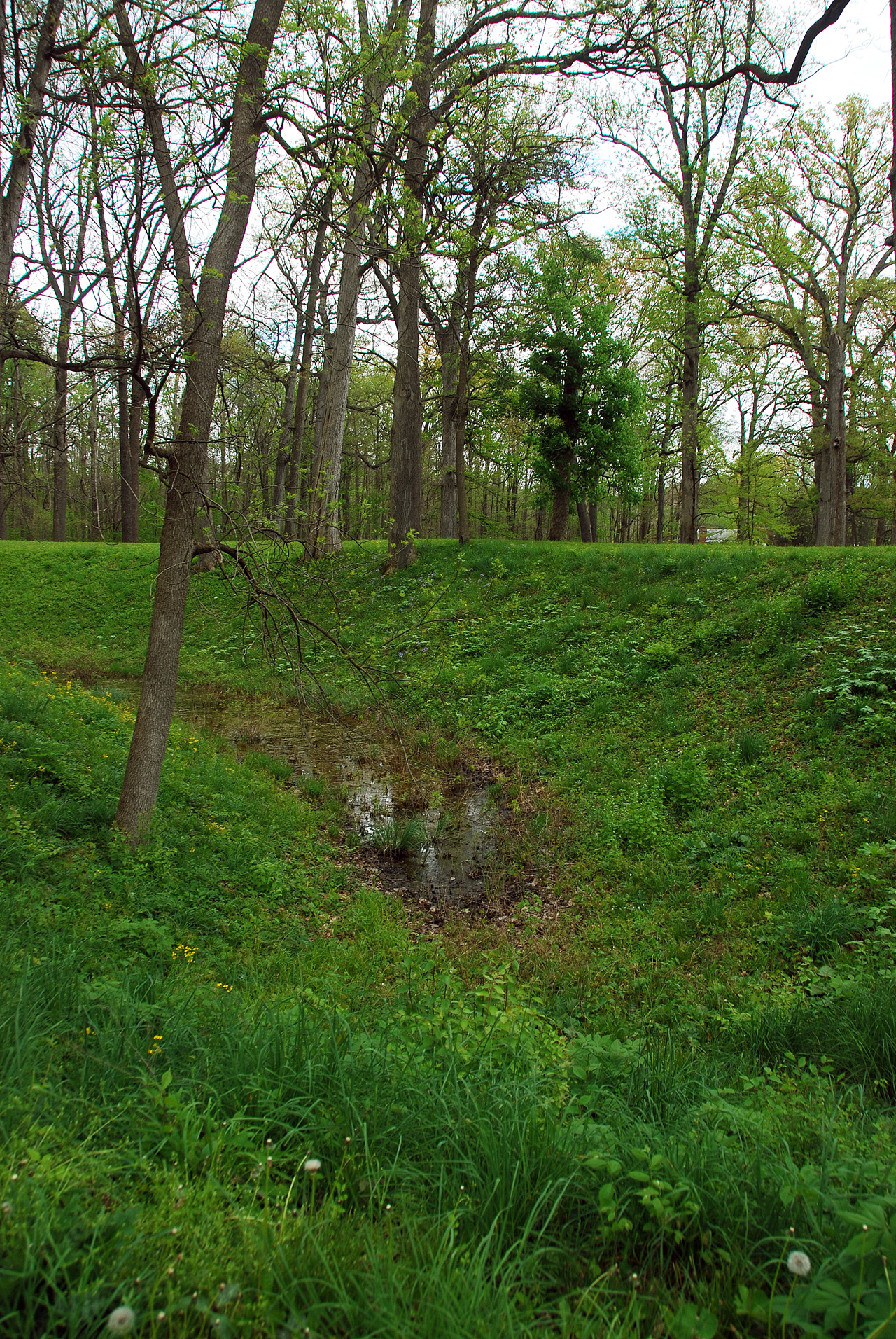 2012-04-16, 021, Great Mound