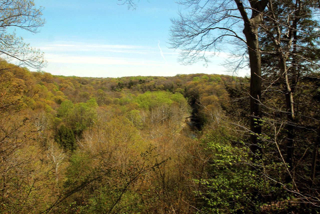 2012-04-25, 008, Tinkers Creek Gorge