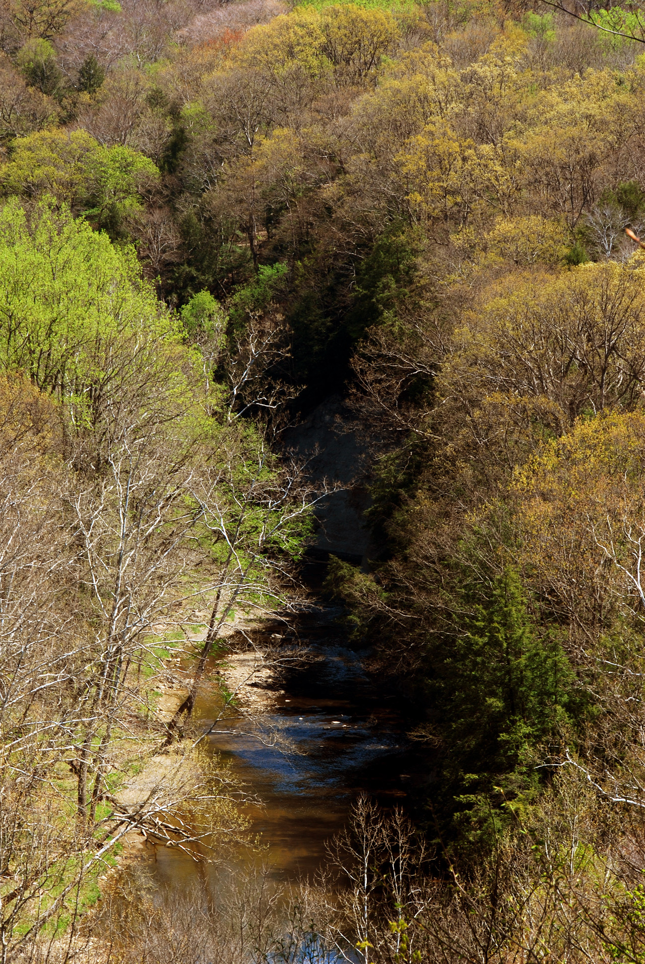 2012-04-25, 009, Tinkers Creek Gorge