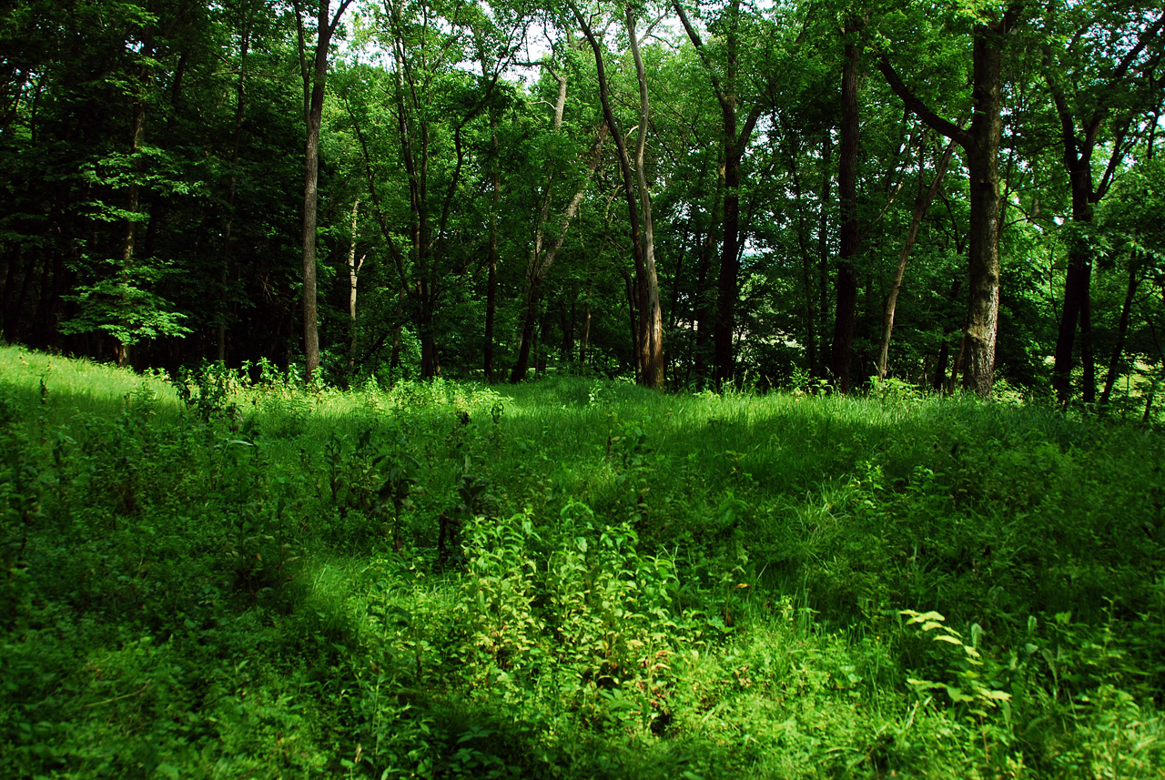 2012-06-13, 005, Effitgy Mounds NM