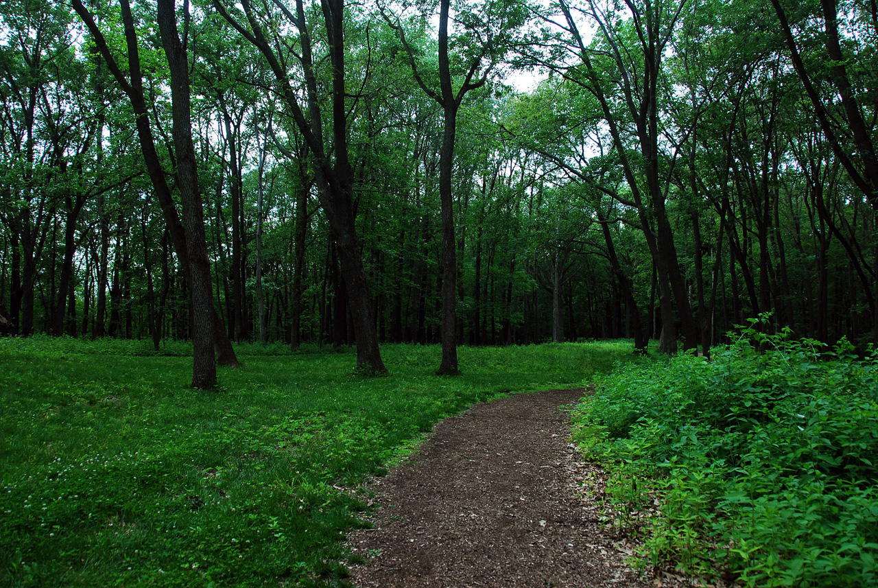 2012-06-13, 008, Effitgy Mounds NM