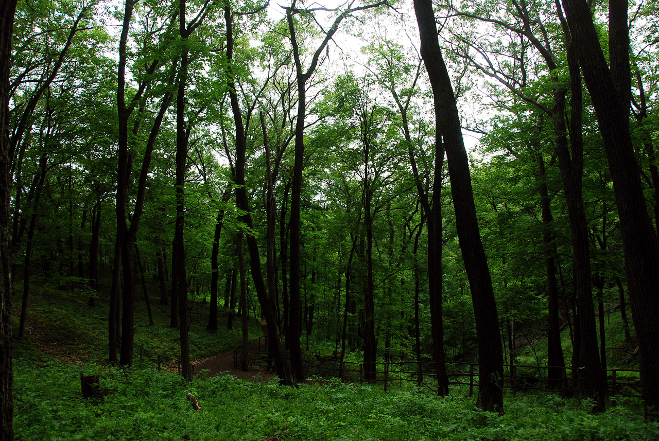 2012-06-13, 009, Effitgy Mounds NM