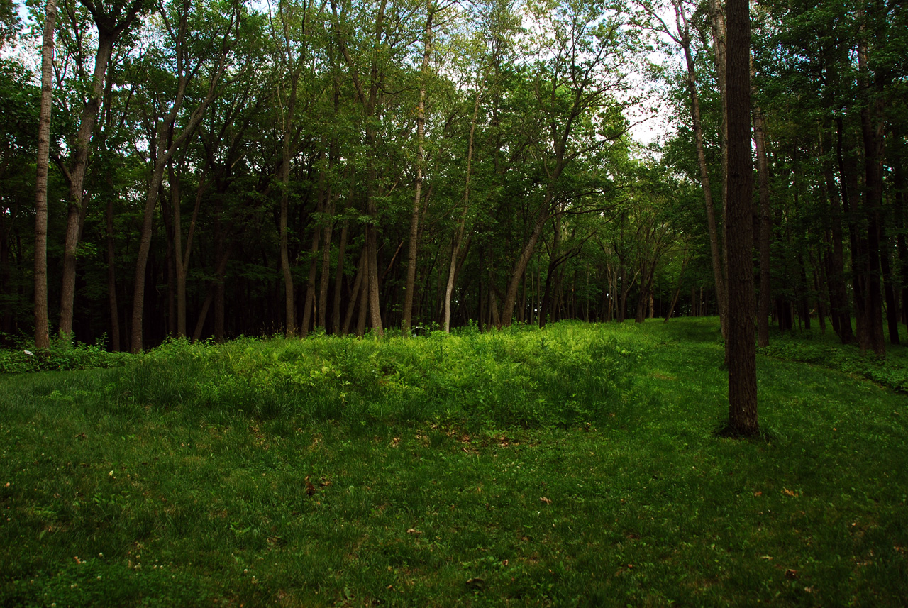 2012-06-13, 011, Little  Bear Mound