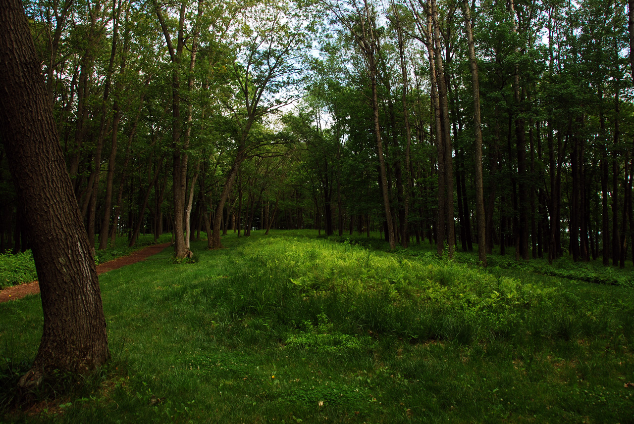 2012-06-13, 012, Little  Bear Mound