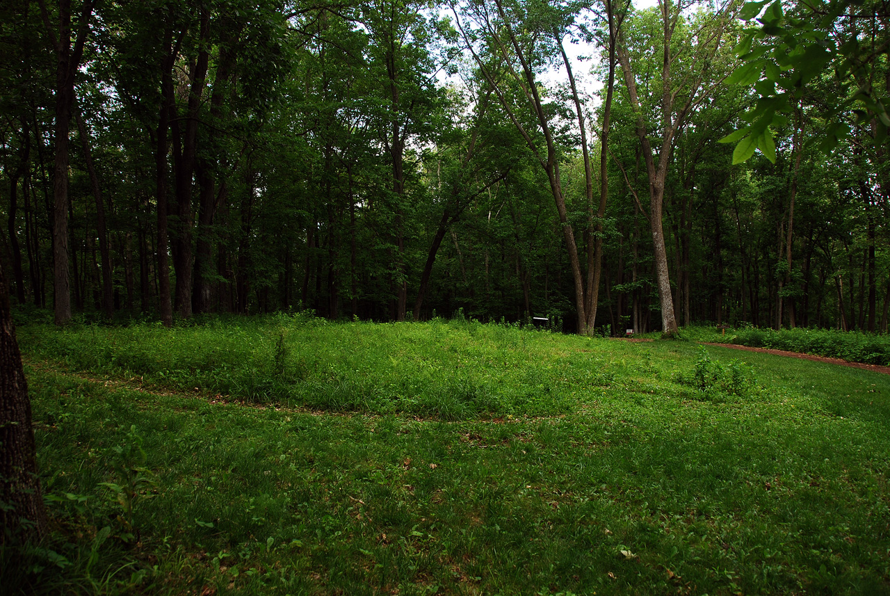 2012-06-13, 013, Little  Bear Mound