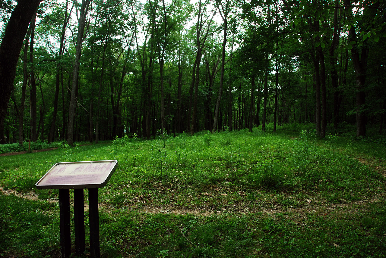 2012-06-13, 015, Little  Bear Mound