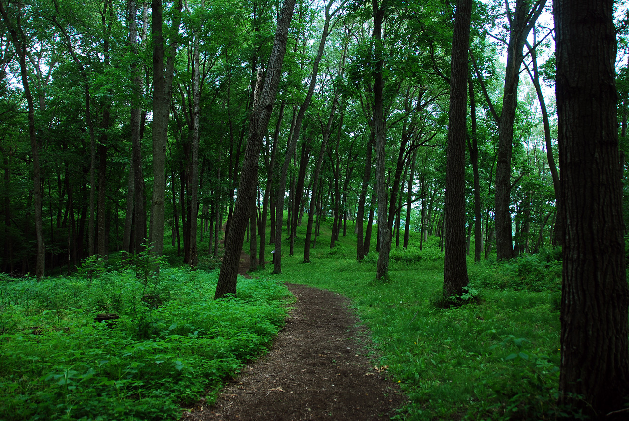 2012-06-13, 016, Effitgy Mounds NM