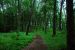 2012-06-13, 016, Effitgy Mounds NM