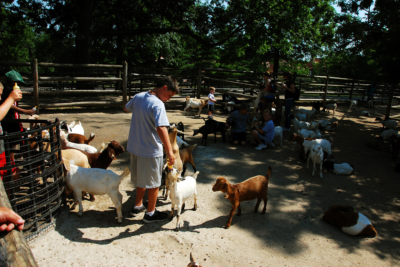 2012-06-28, 007, Feeding the Goats, MO