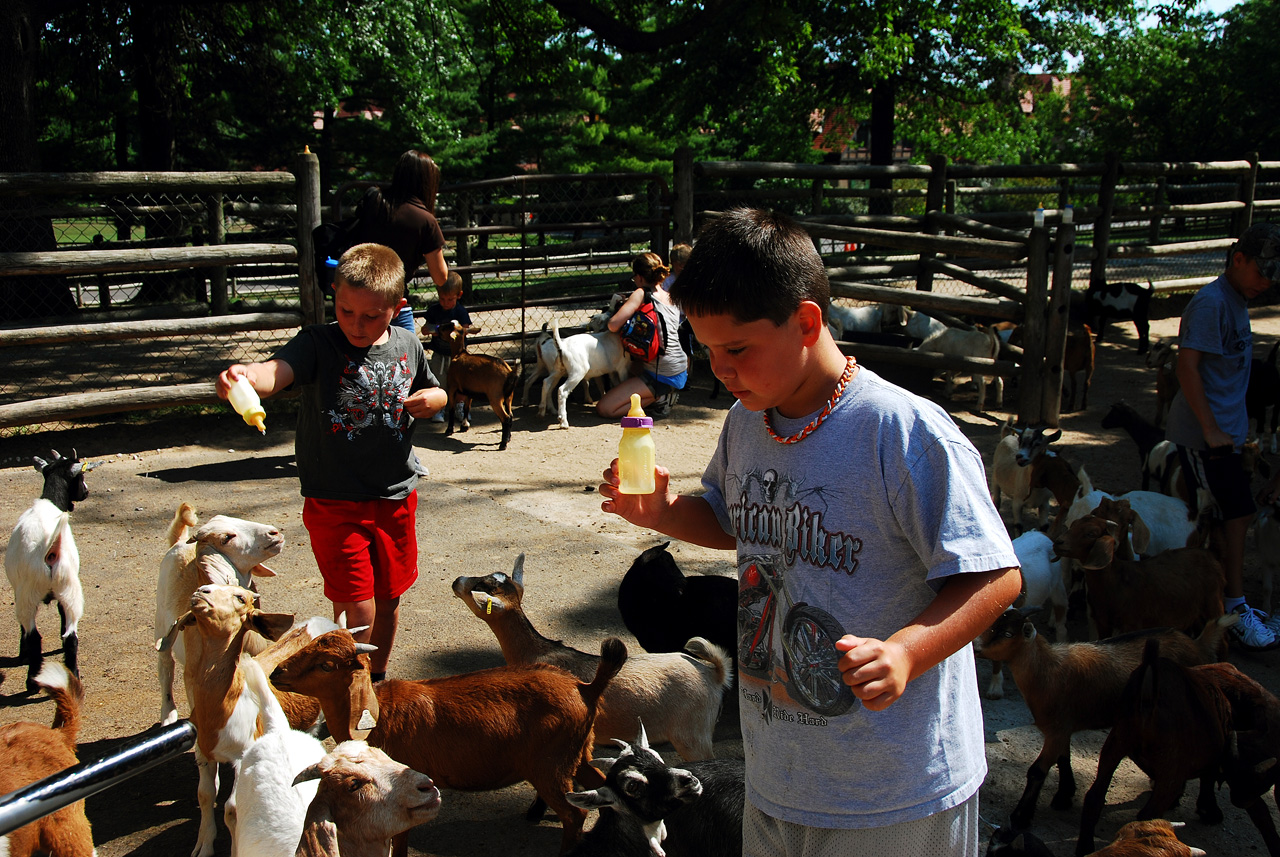 2012-06-28, 009, Feeding the Goats, MO