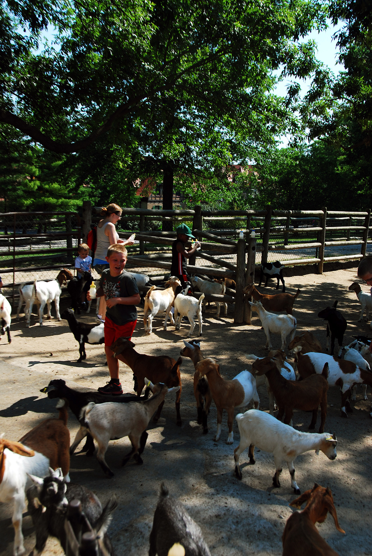 2012-06-28, 010, Feeding the Goats, MO