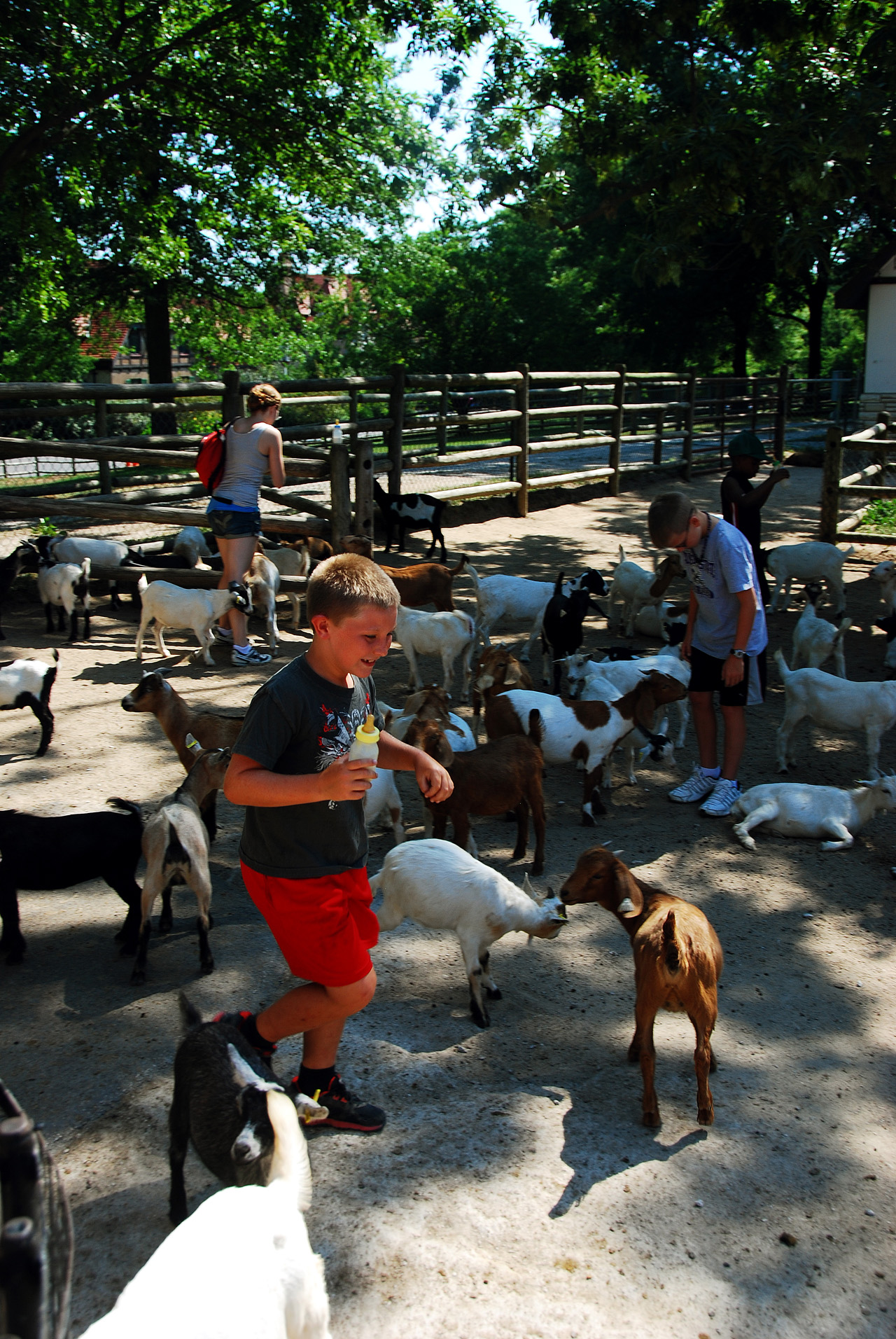 2012-06-28, 011, Feeding the Goats, MO