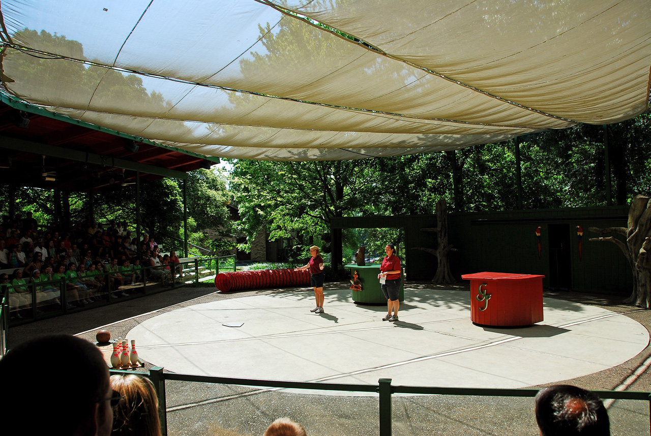 2012-06-28, 021, Bird Show, MO