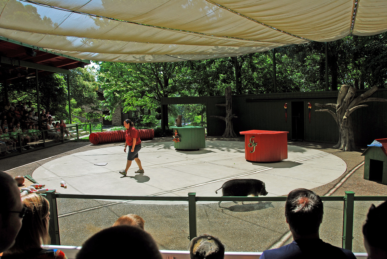 2012-06-28, 022, Bird Show, MO