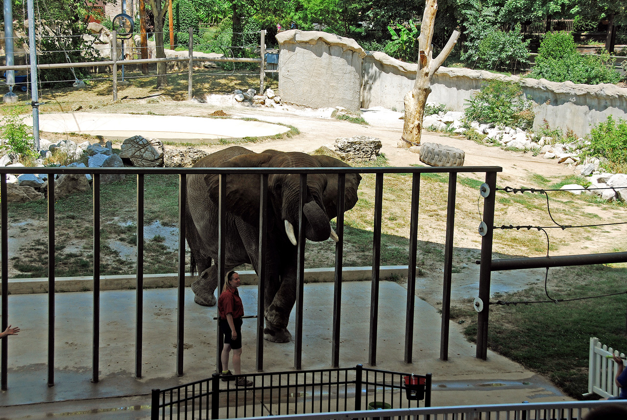 2012-06-28, 049, Elephant Show, MO