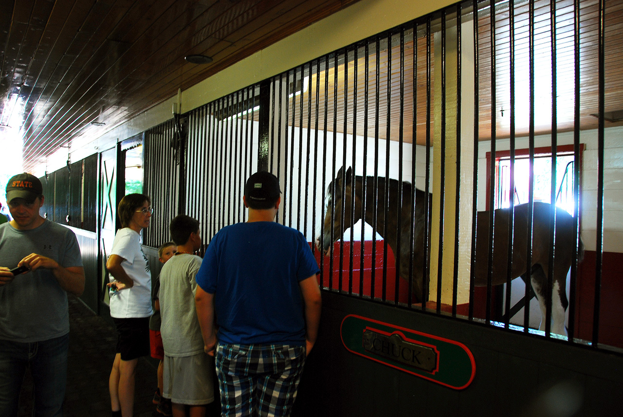 2012-06-28, 071, Clydesdales, MO