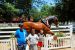 2012-06-28, 074, Clydesdales, MO