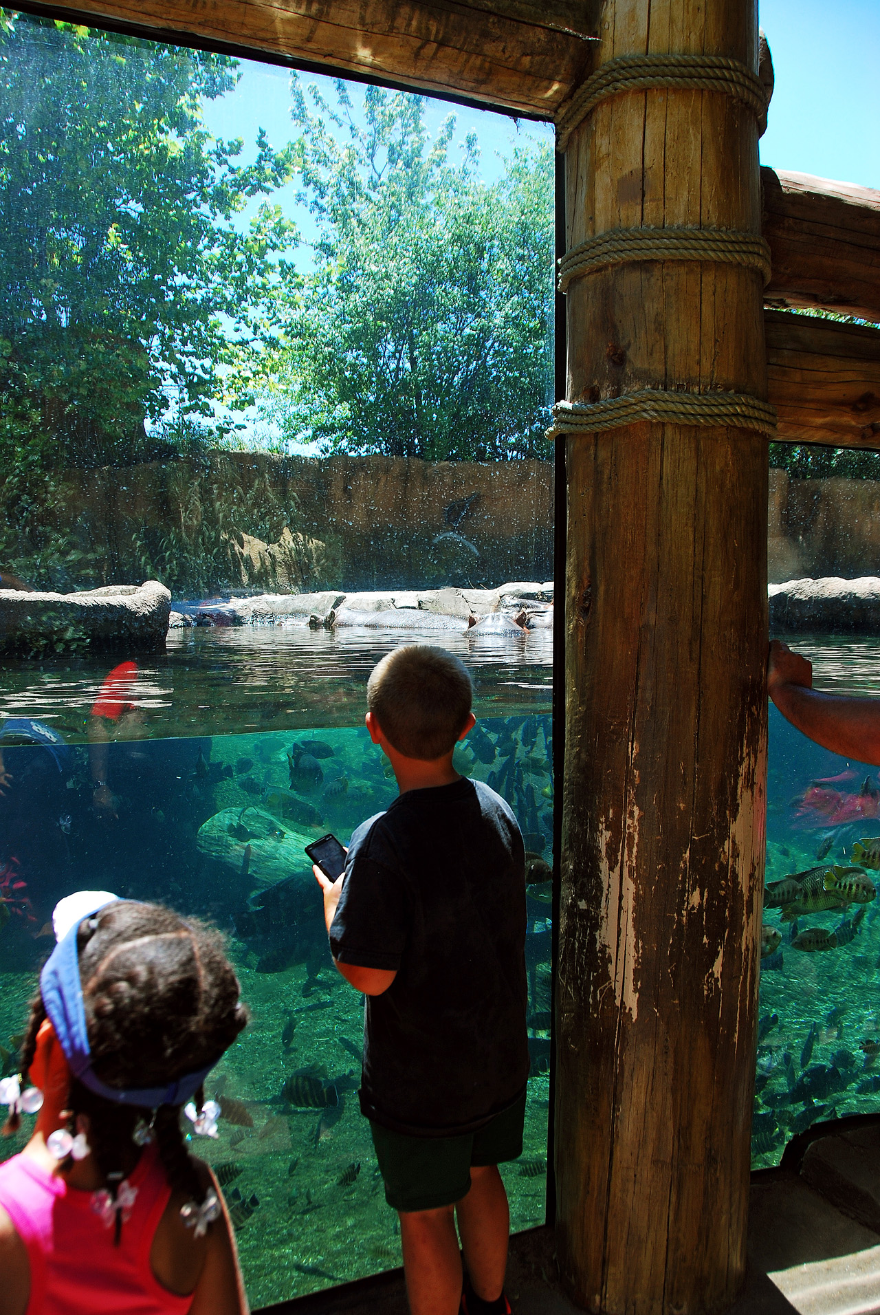 2012-06-22, 011, St. Louis Zoo