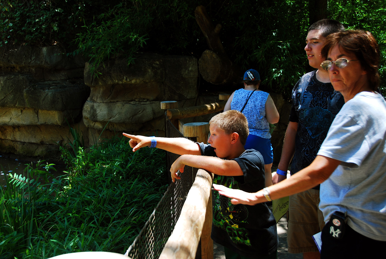 2012-06-22, 019, St. Louis Zoo