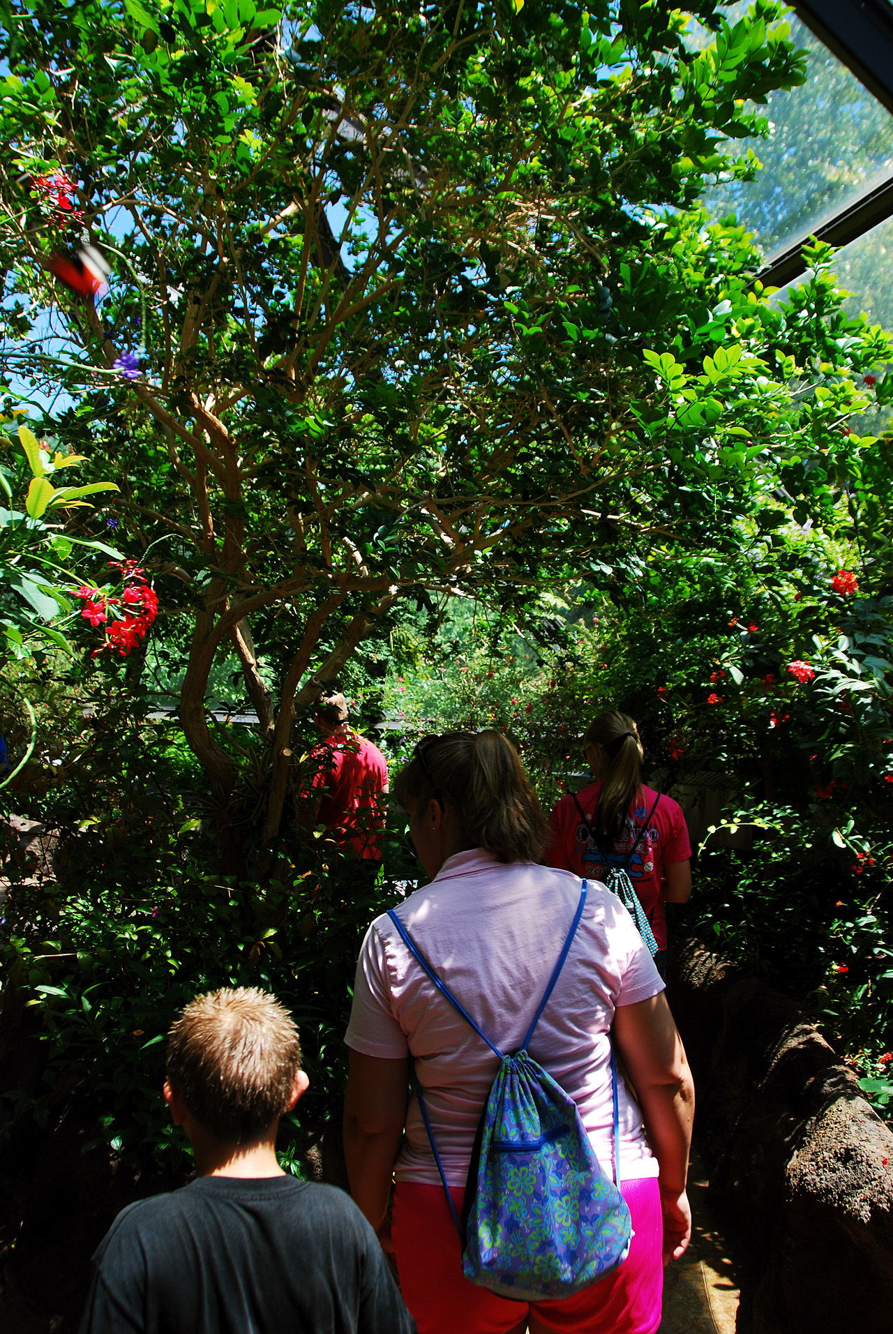 2012-06-22, 023, St. Louis Zoo