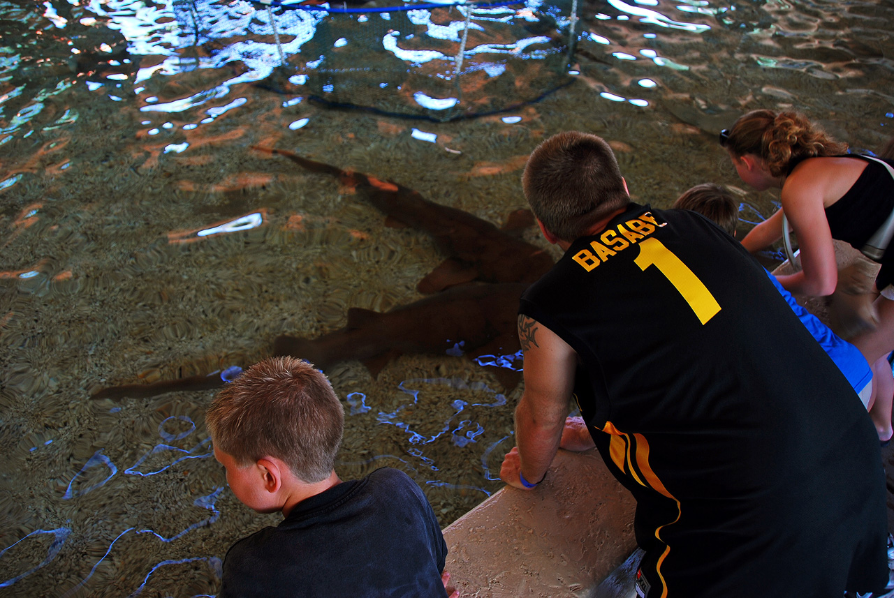 2012-06-22, 031, St. Louis Zoo