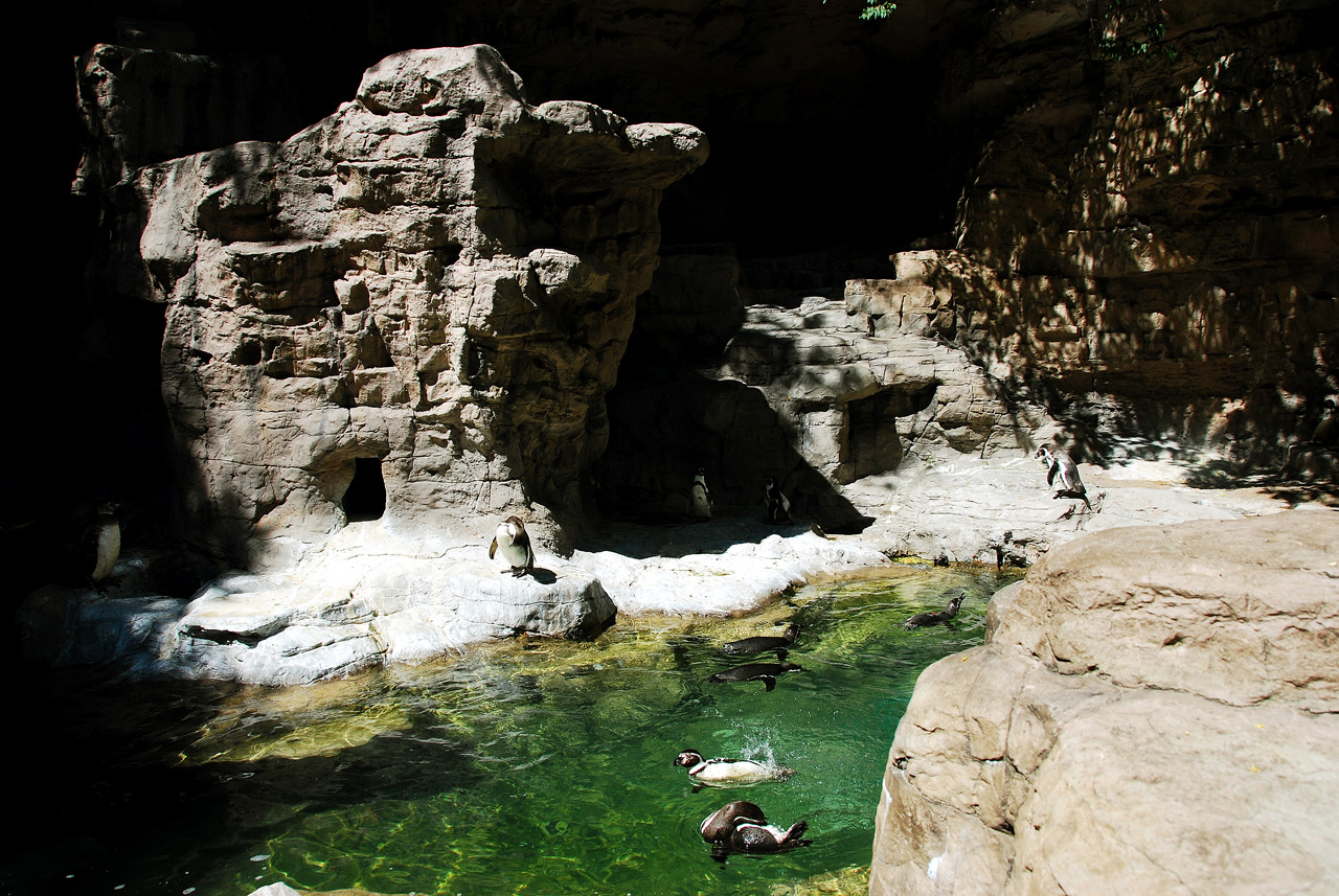 2012-06-22, 055, St. Louis Zoo