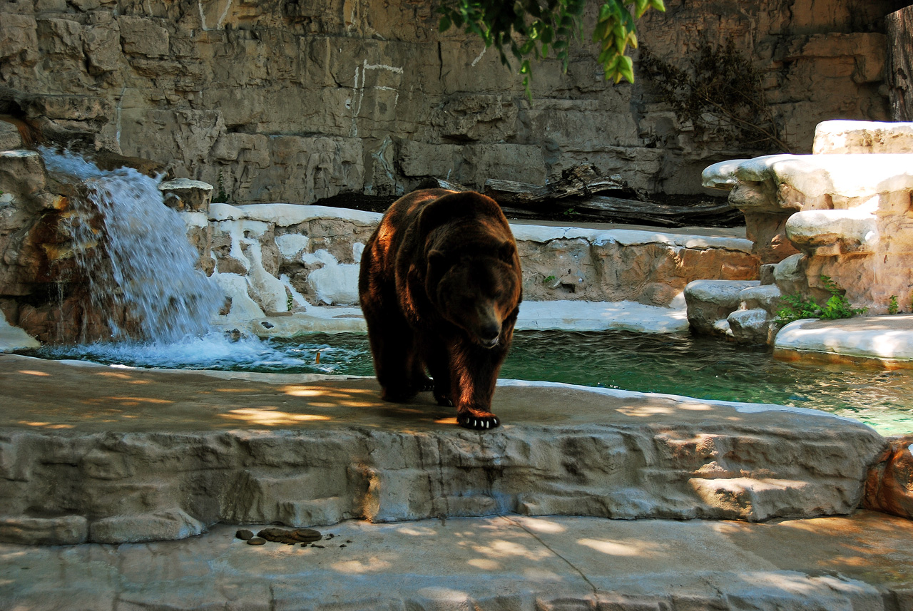 2012-06-22, 066, St. Louis Zoo