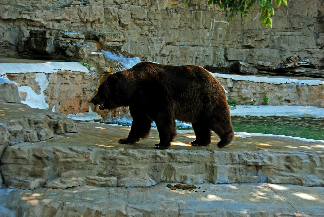 2012-06-22, 067, St. Louis Zoo