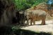 2012-06-22, 018, St. Louis Zoo