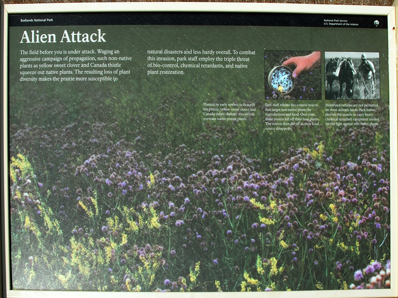 2012-08-10, 013, Prairie Wind