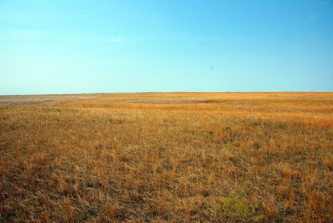 2012-08-10, 016, Prairie Wind