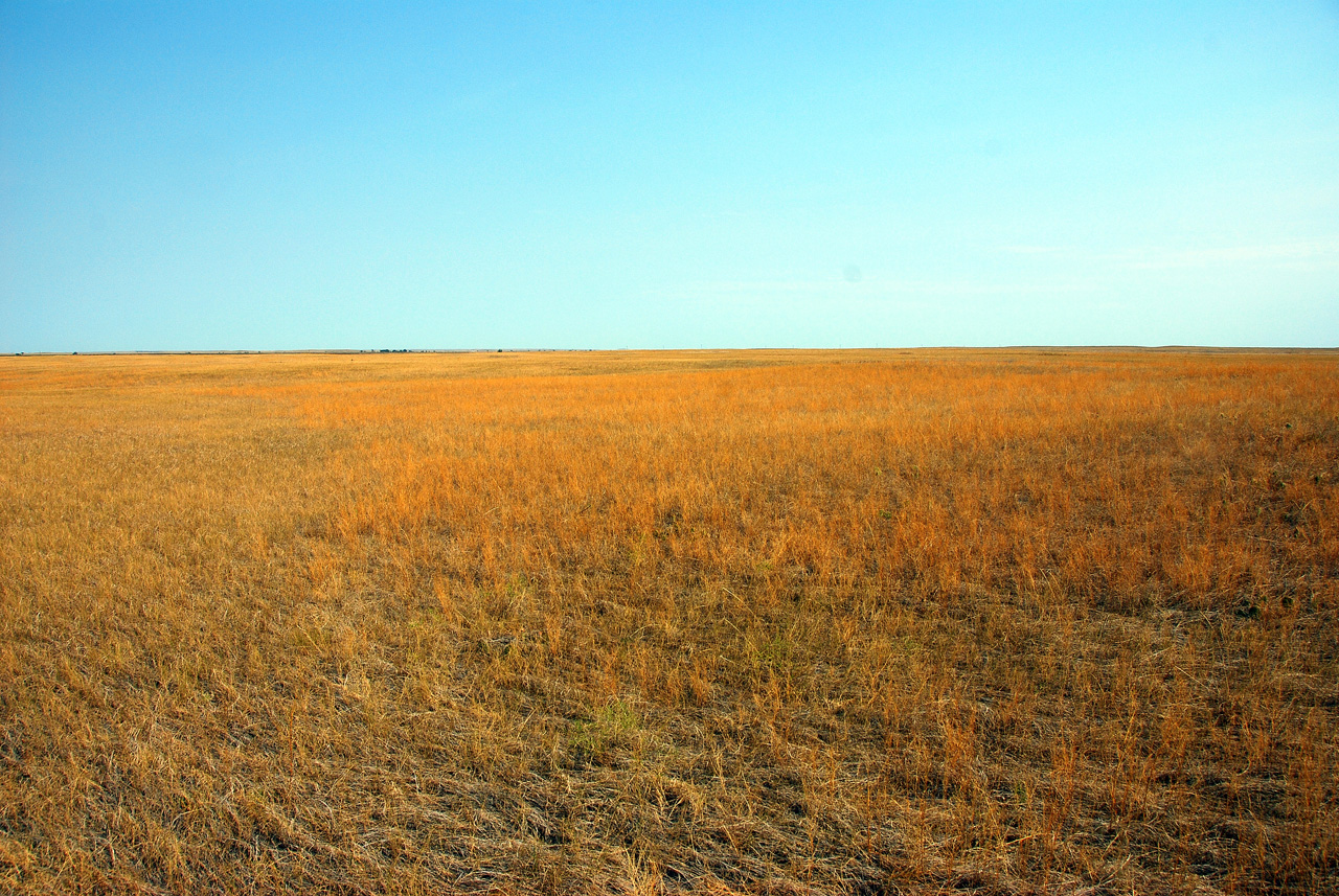 2012-08-10, 019, Prairie Wind