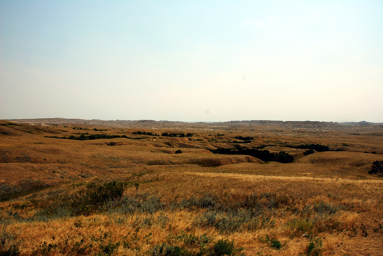 2012-08-10, 081, Prairie Dog Town