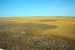 2012-08-10, 014, Prairie Wind