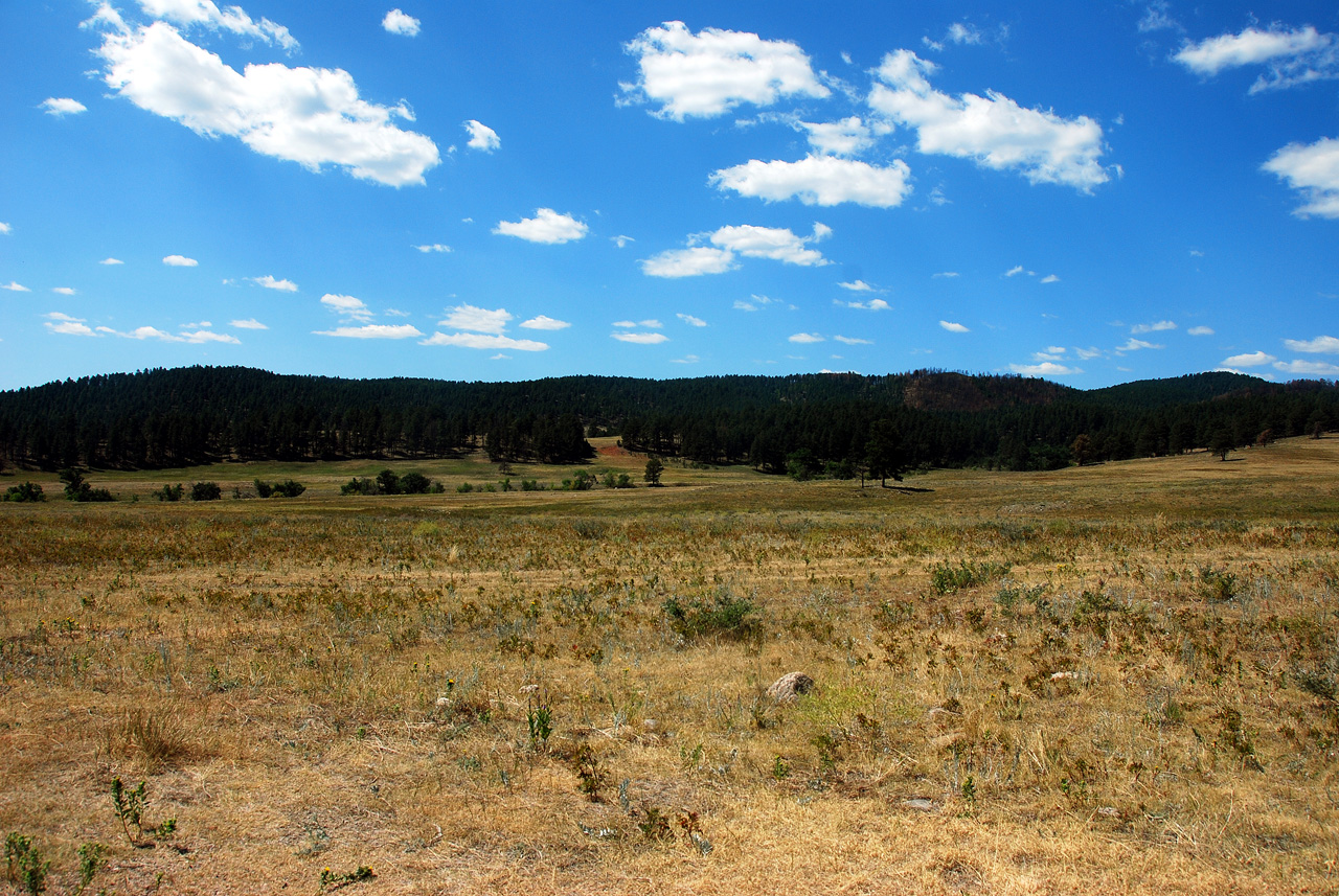 2012-08-19, 004, Custer State Park