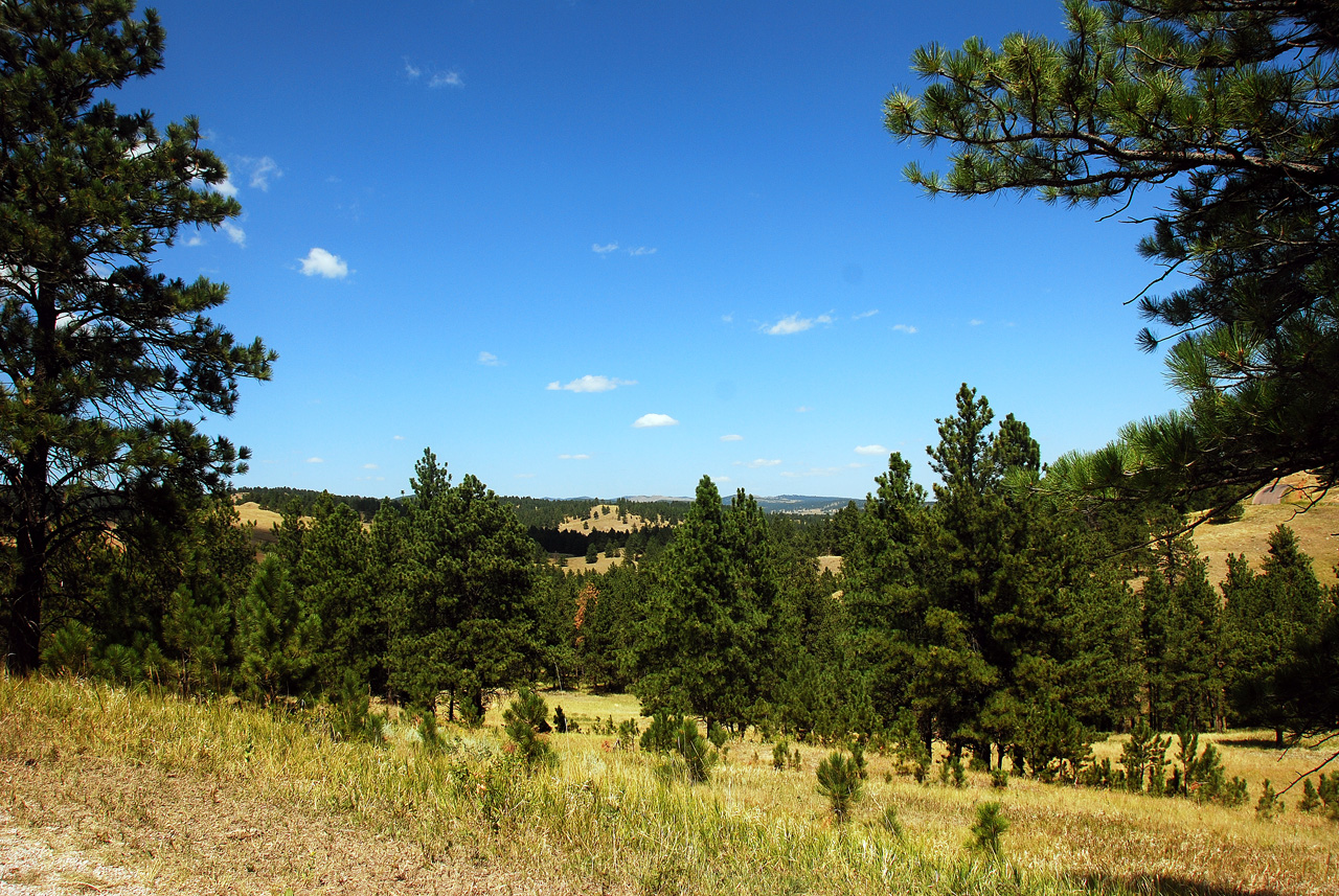 2012-08-19, 008, Custer State Park