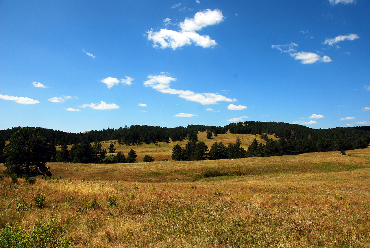 2012-08-19, 010, Custer State Park