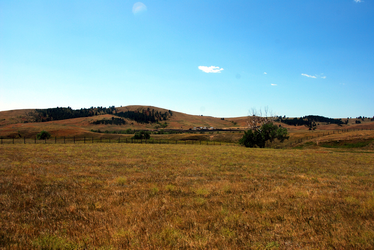 2012-08-19, 016, Custer State Park