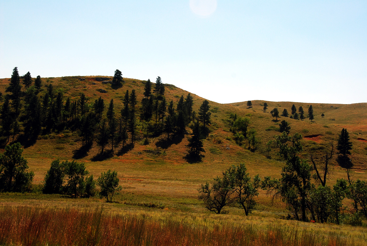 2012-08-19, 019, Custer State Park