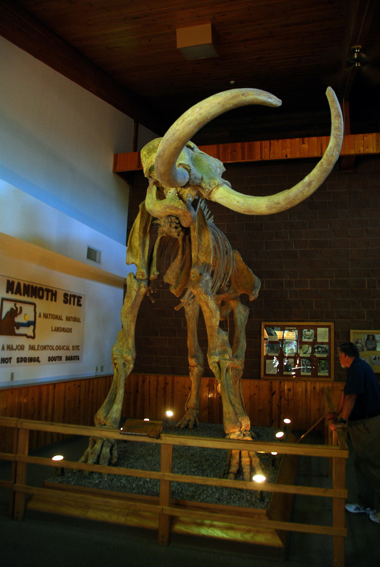 2012-08-21, 003, Mammoth Site, SD