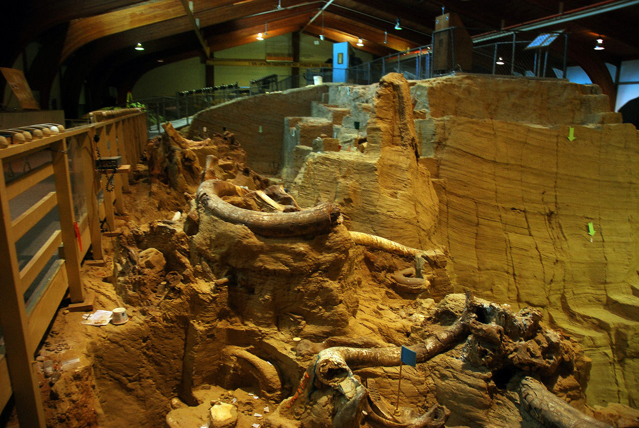2012-08-21, 004, Mammoth Site, SD