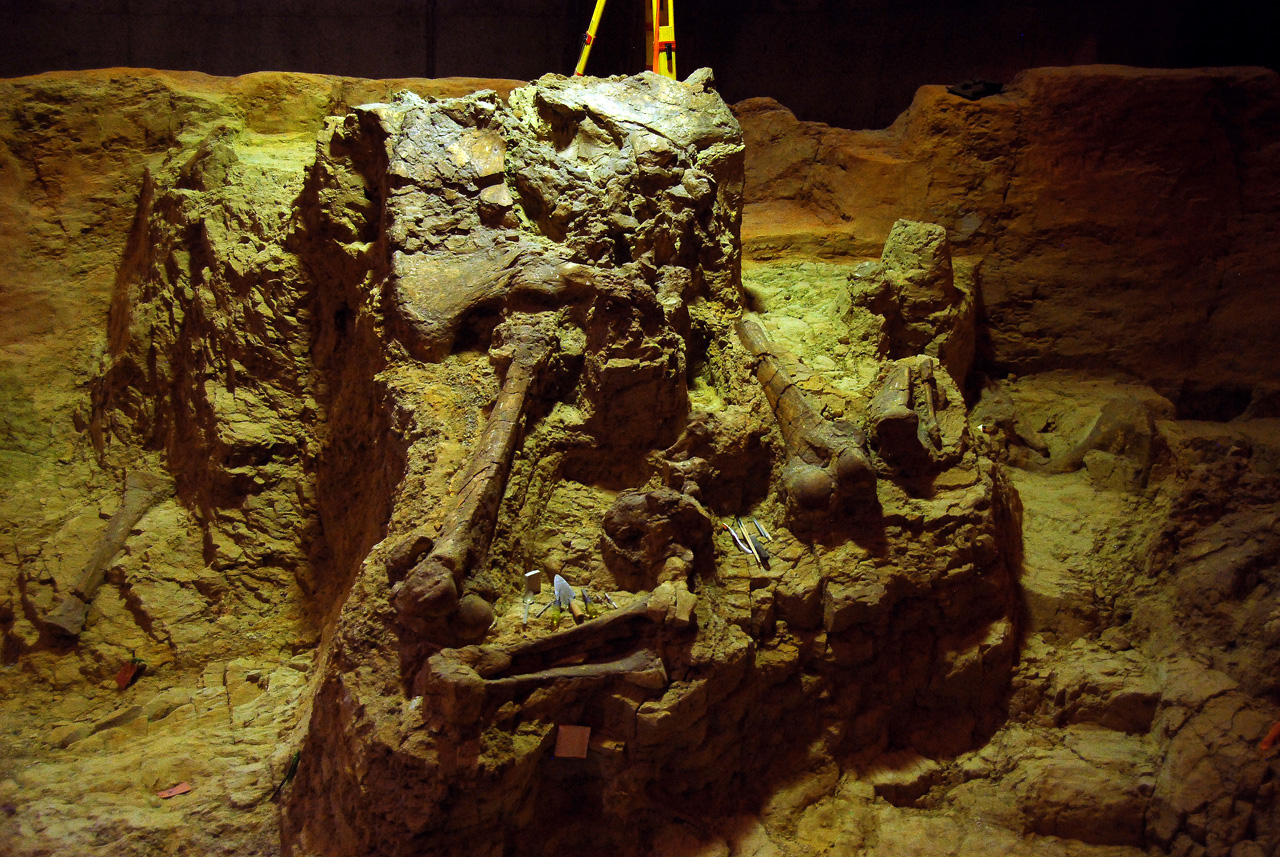 2012-08-21, 009, Mammoth Site, SD